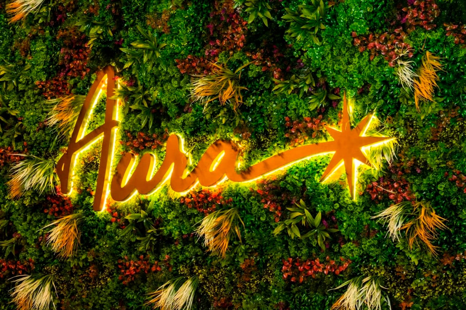 Signature Aura Wall